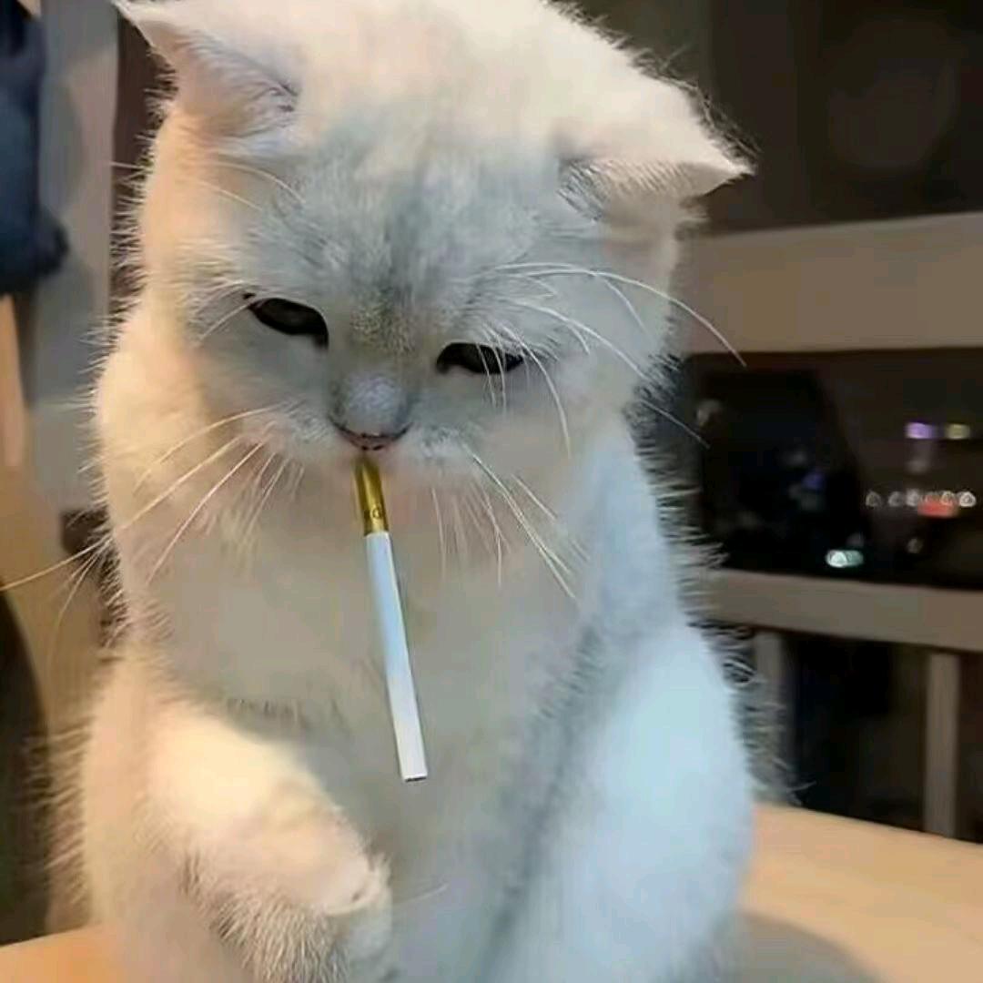 秘密