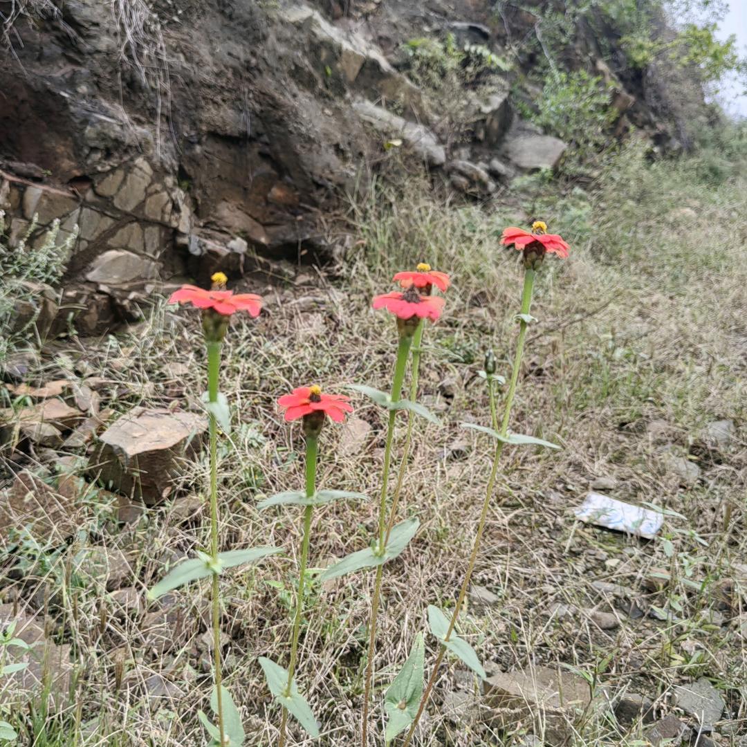 └ 馨儿↘丅呿偽娤 ┐