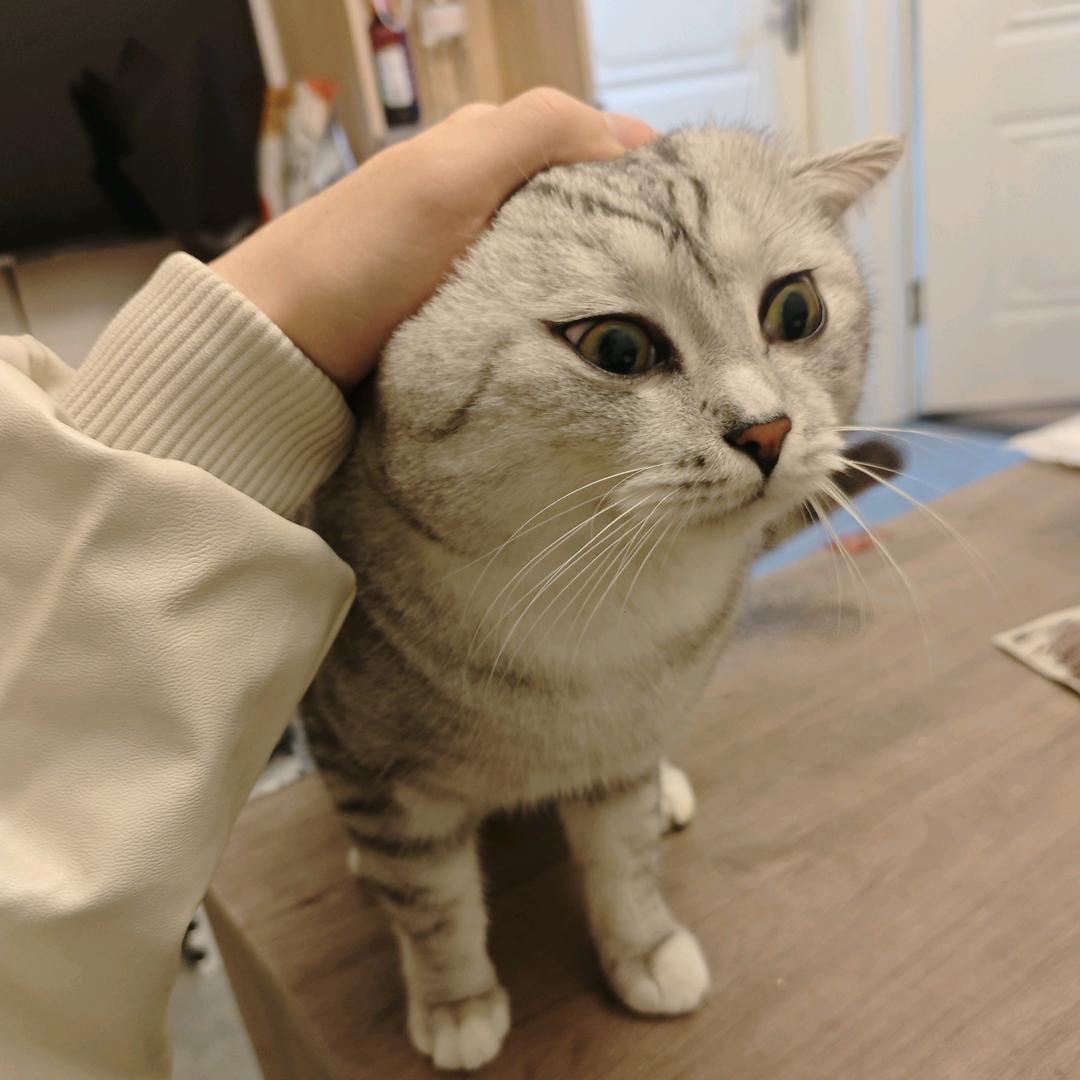 随性