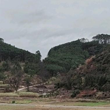 边城浪子（傅红雪）