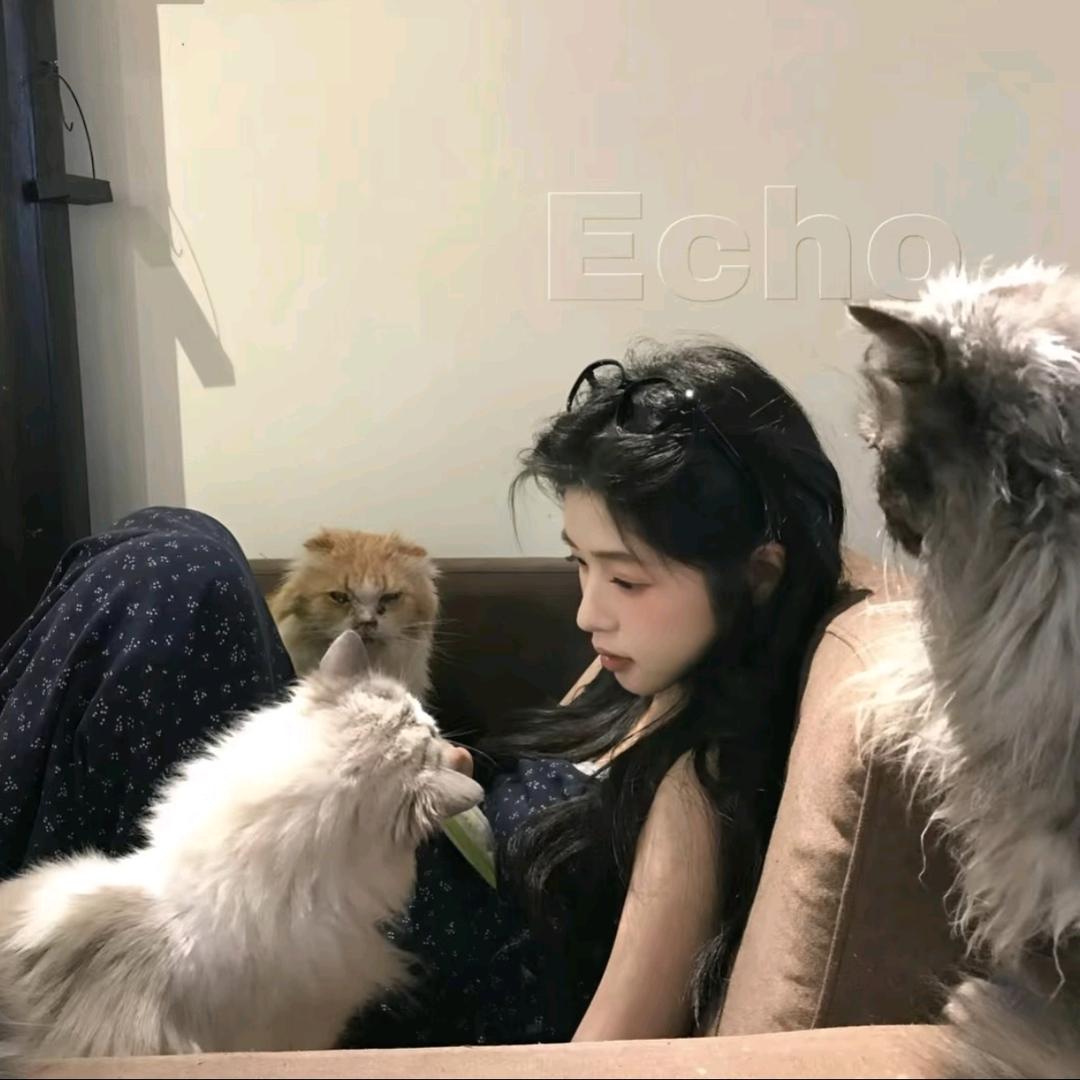 江江小胺