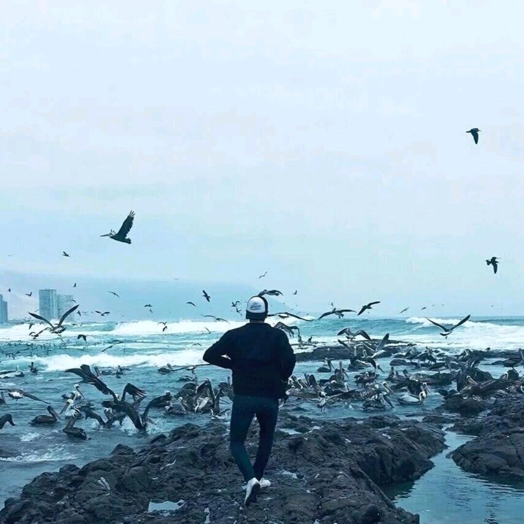稻城
