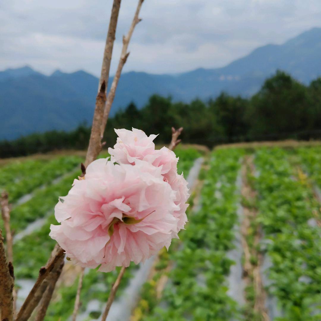 ໑ຼₒ₂5ღ᭄微笑💔释怀꧔ꦿ᭄