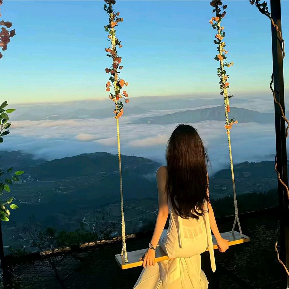 🌴年年有余🌴