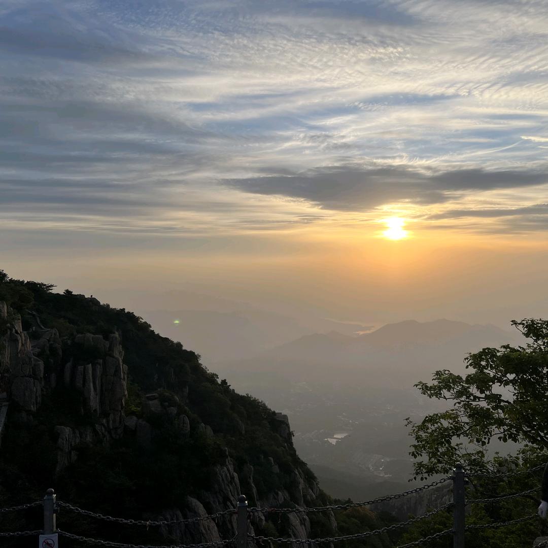 小杨（住宅+商铺）