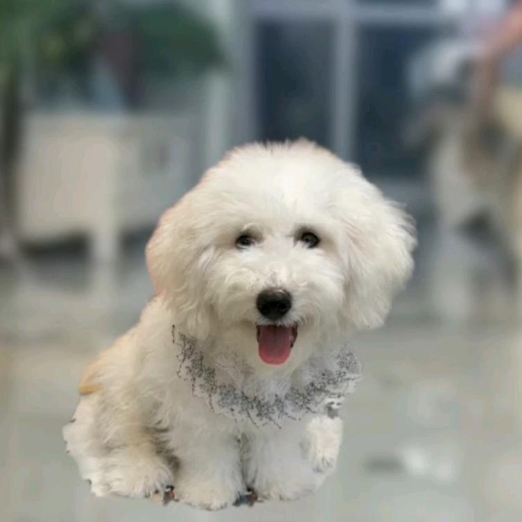 下雨了