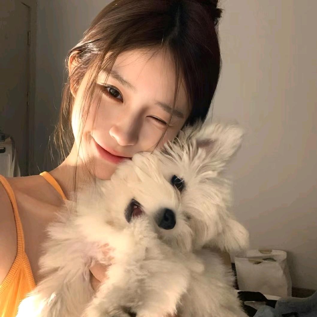 低首付购车喜相逢