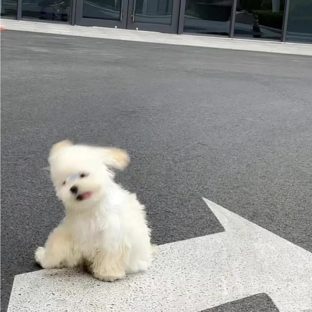 小熏