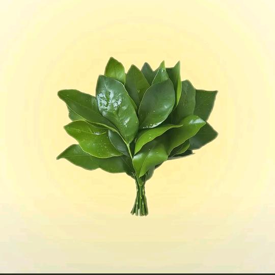 🍀缘圆
