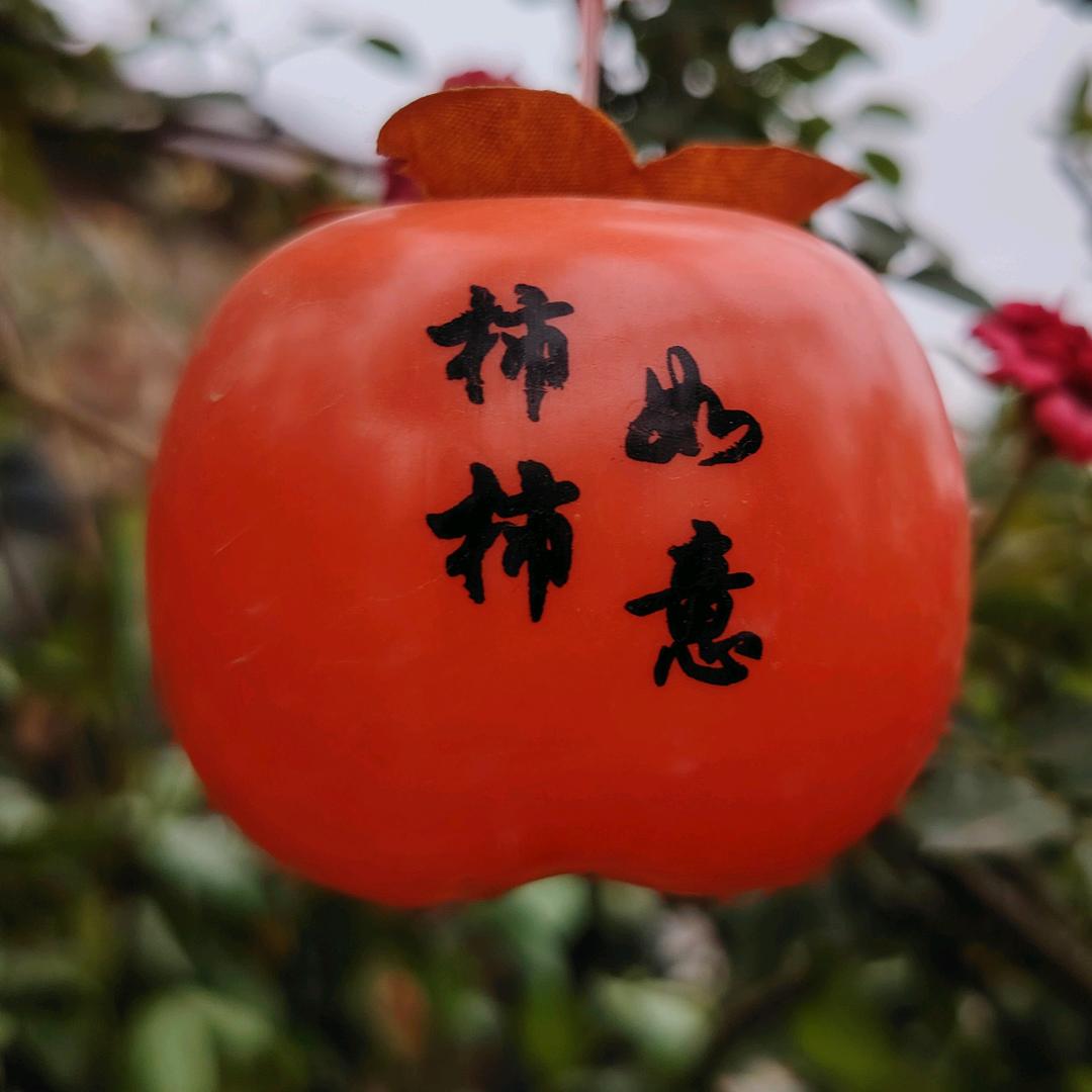 幸福像花儿🌹