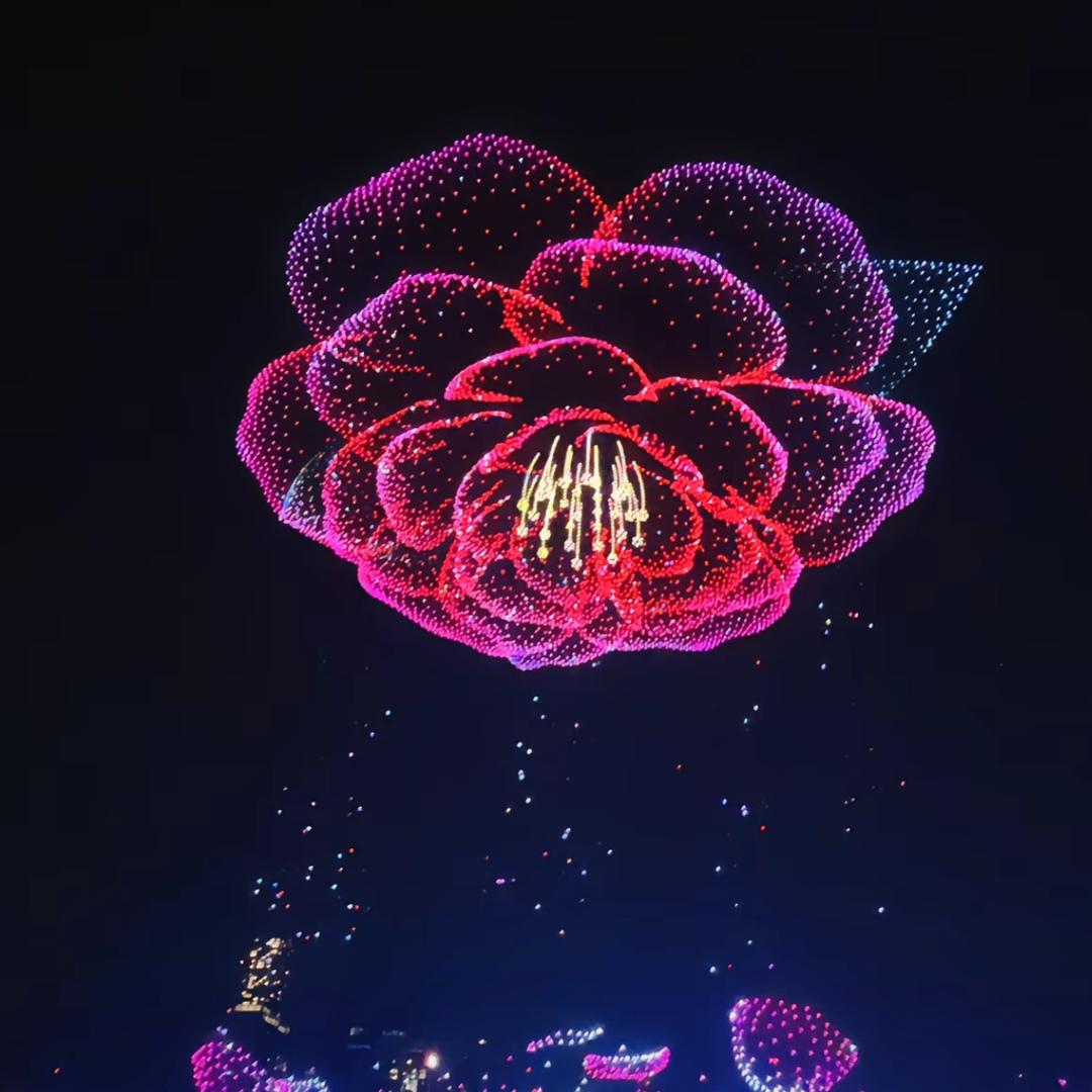 谢*驰风~🍃 隔断