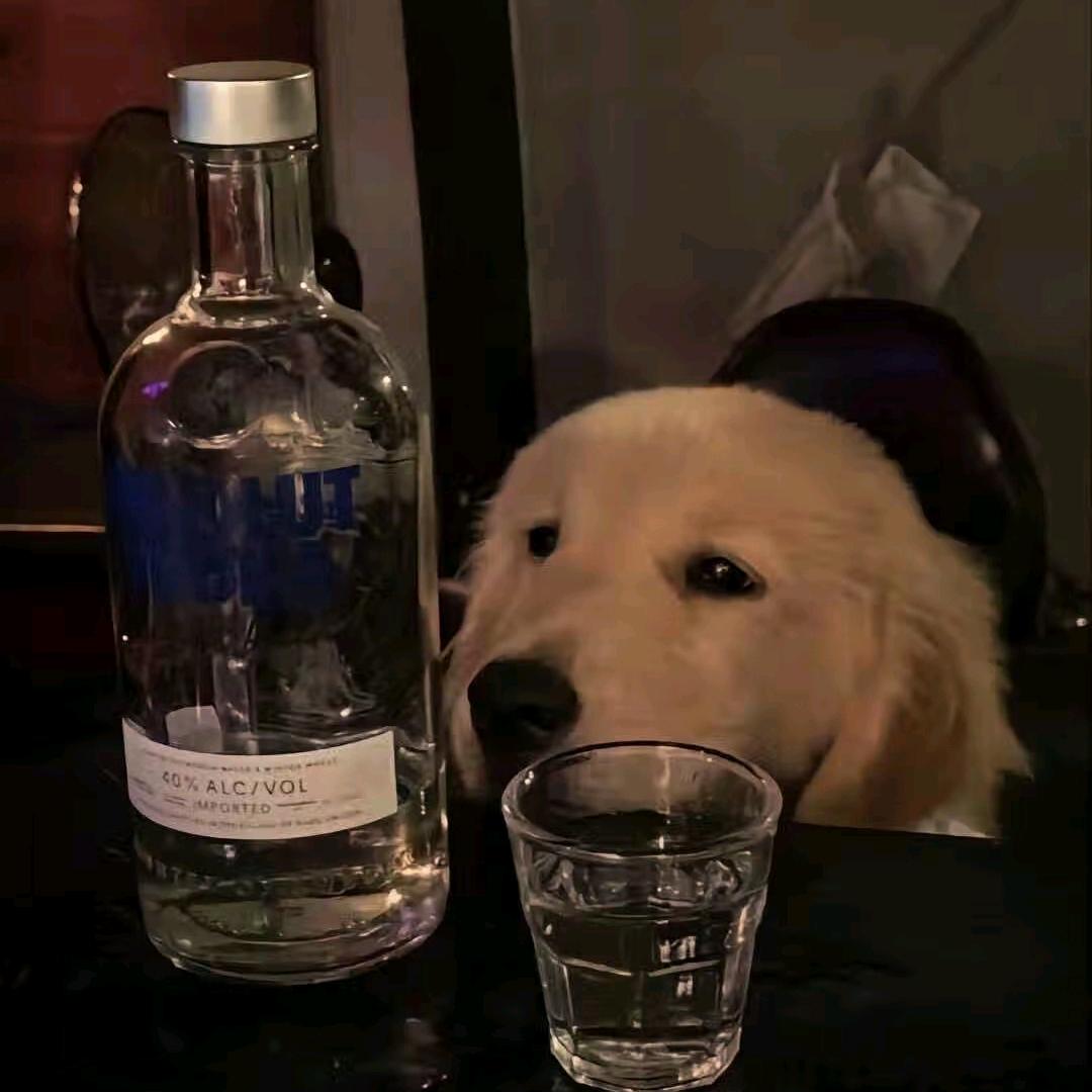 柚子茶