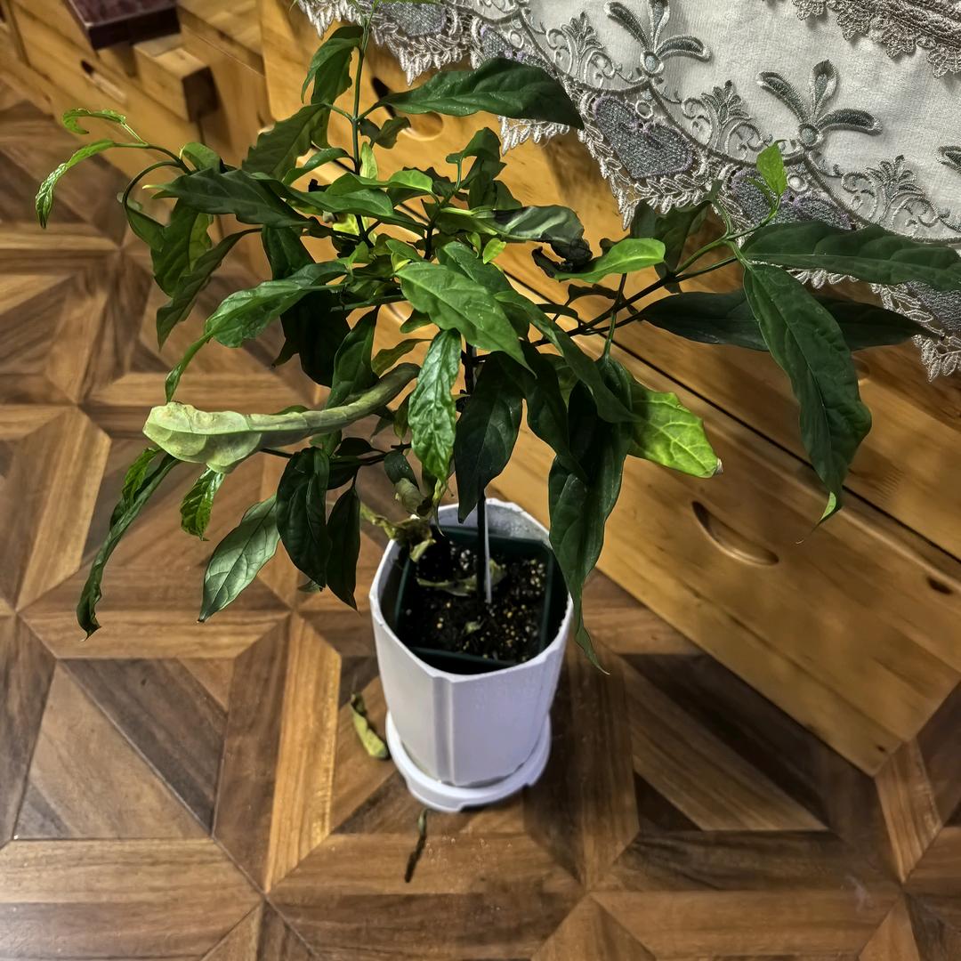 爱的沙滩