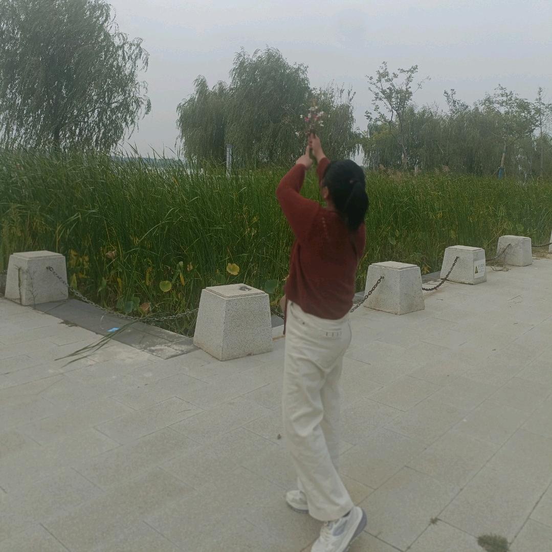 凤凰姐