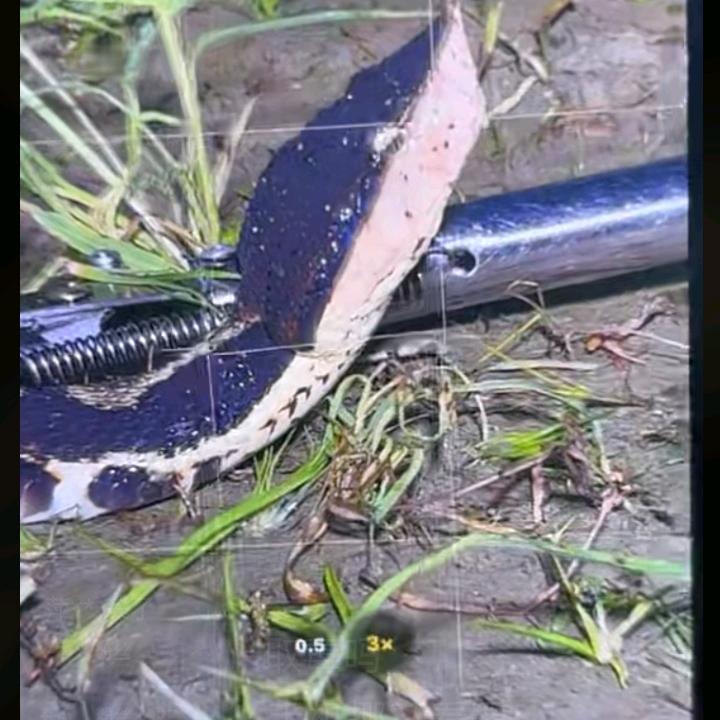 响辉