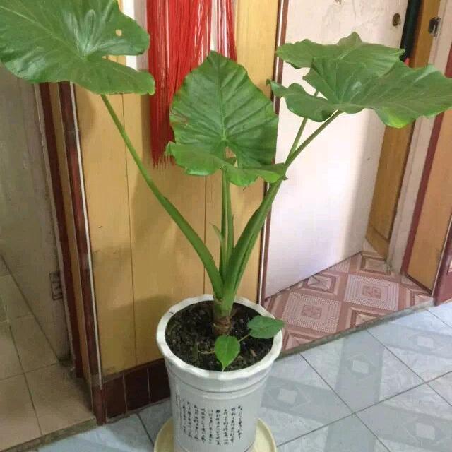 非你莫属♥️♥️♥️💝💝💝