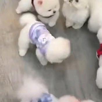 用户657884637996