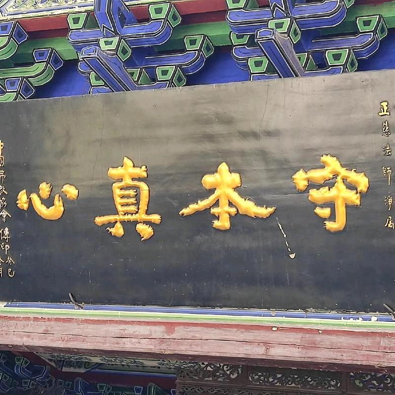 从未失去