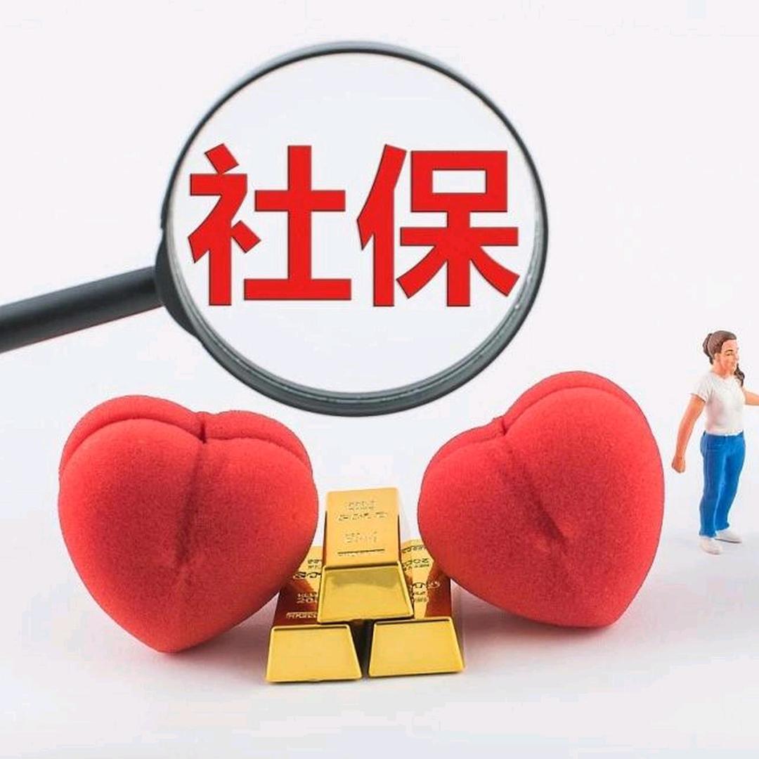 雁老师讲养老