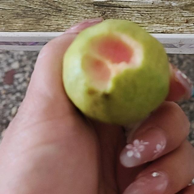 成功靠自己。