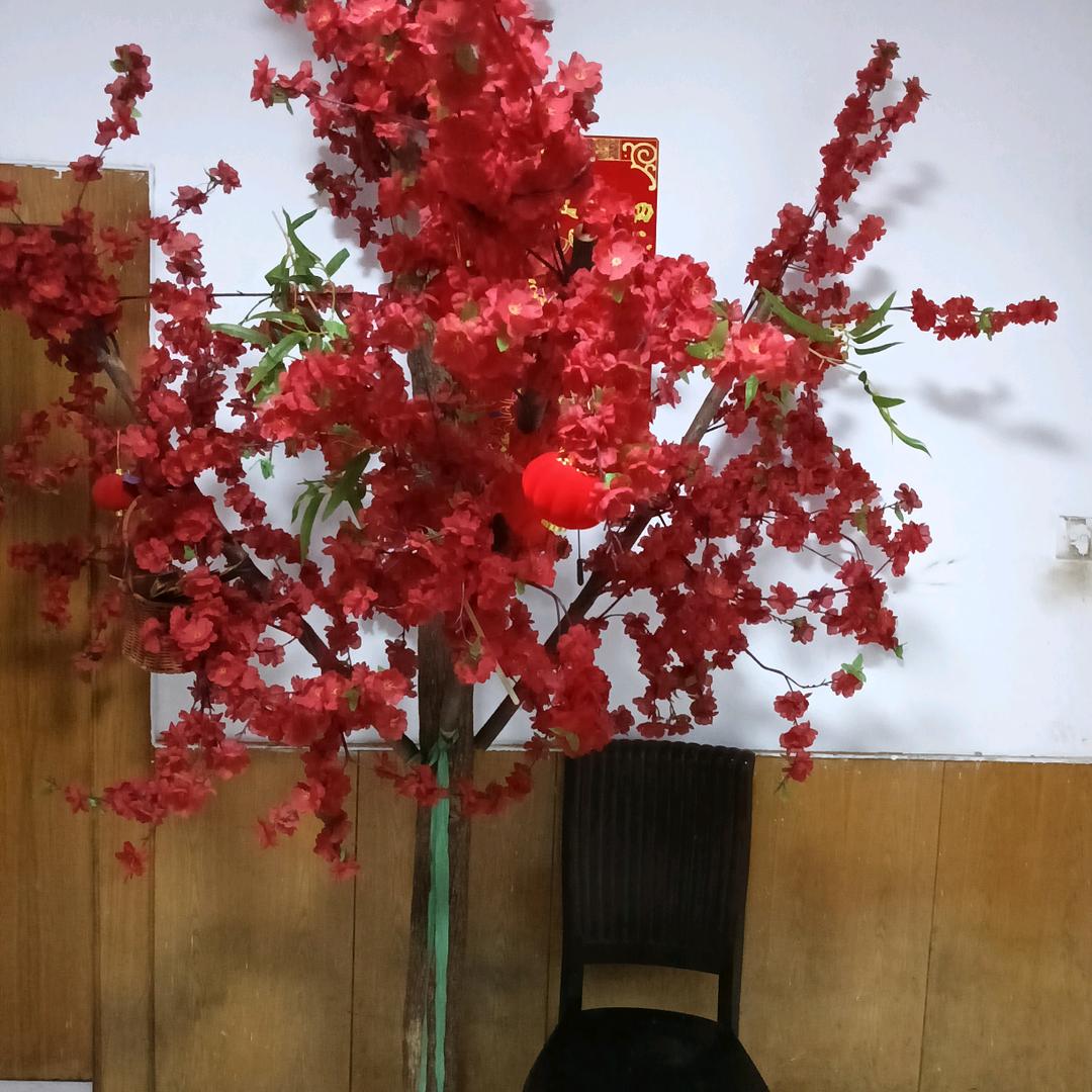 胡庆军