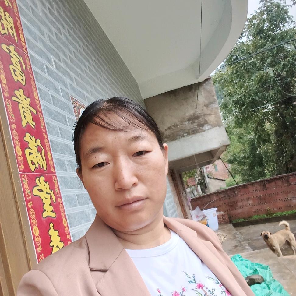 小刘妹