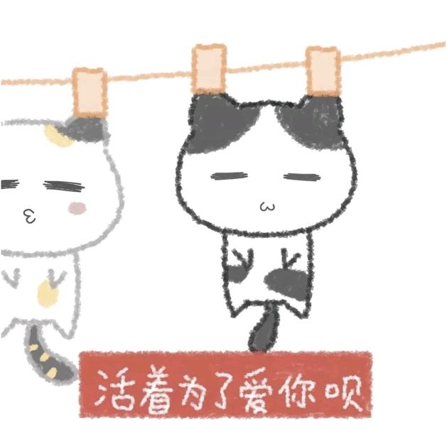 Nefertari（颜人中！！！）