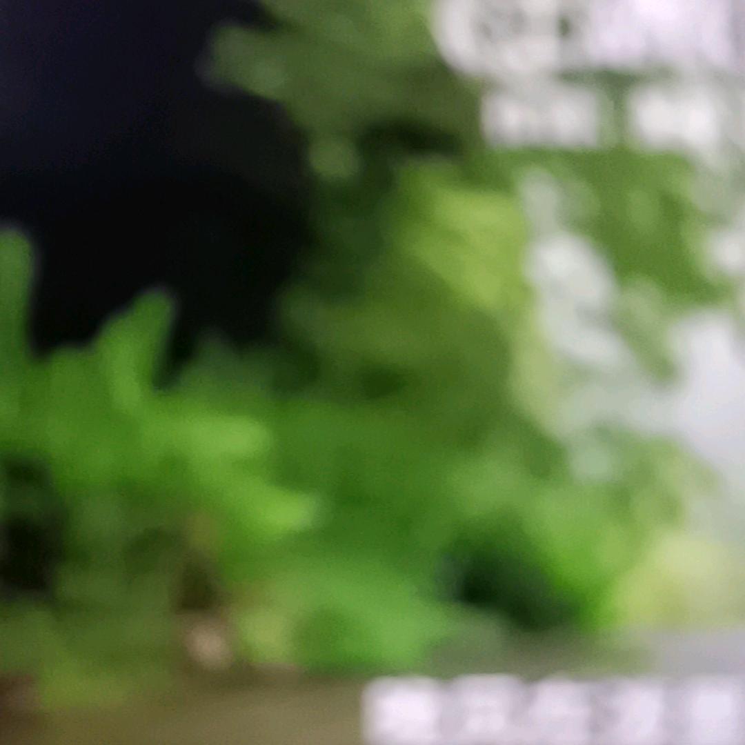 云朵早点