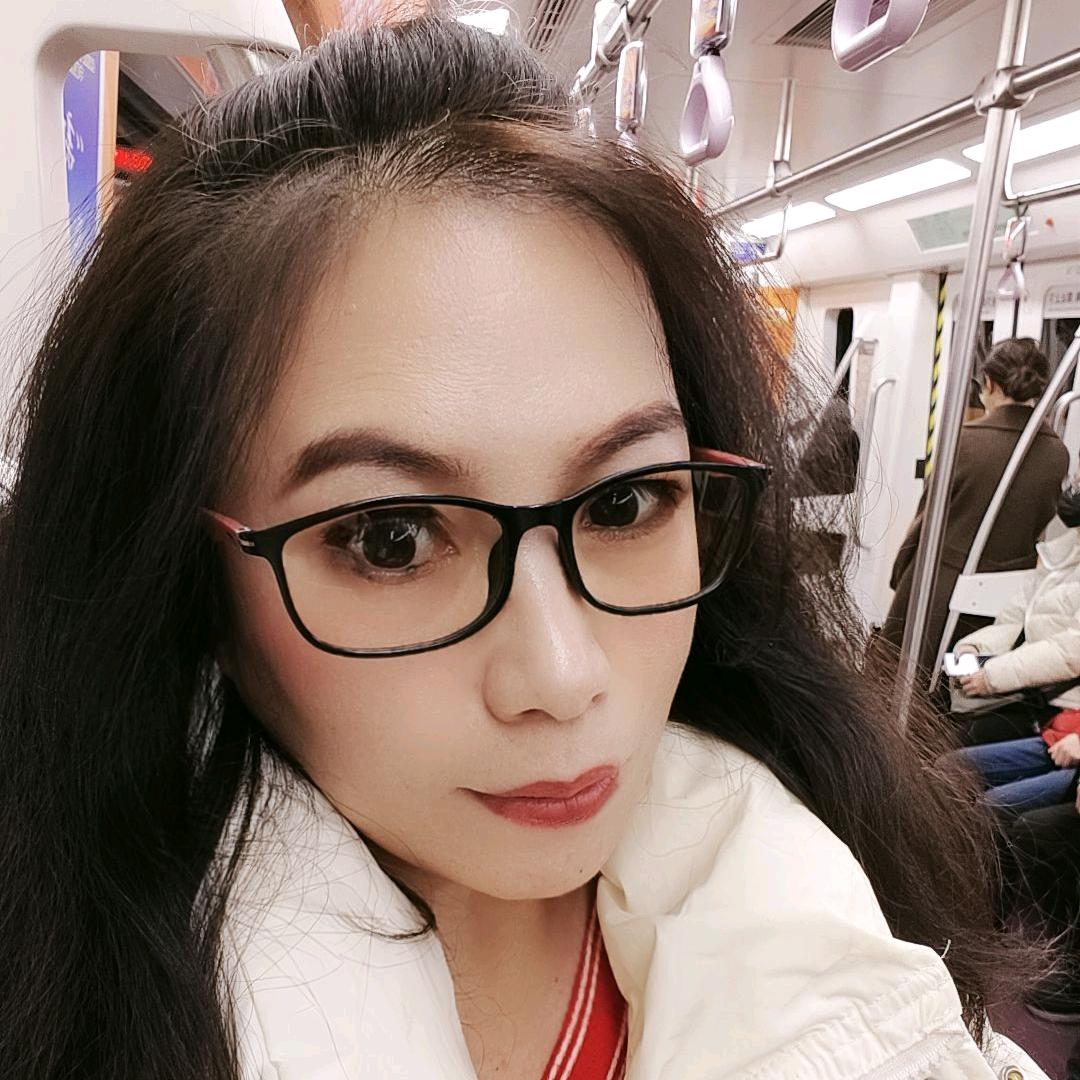 智智