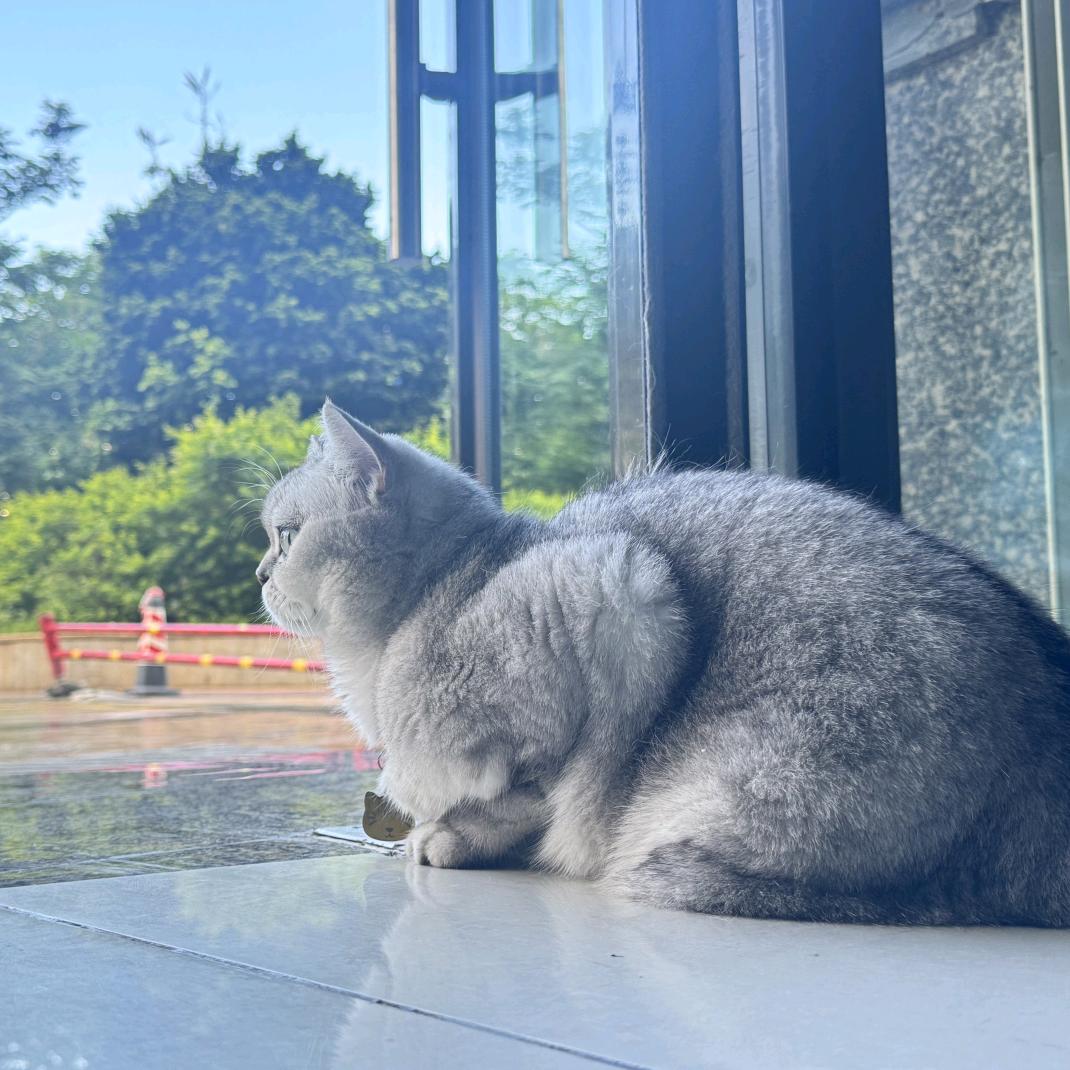 如素咖啡官方号