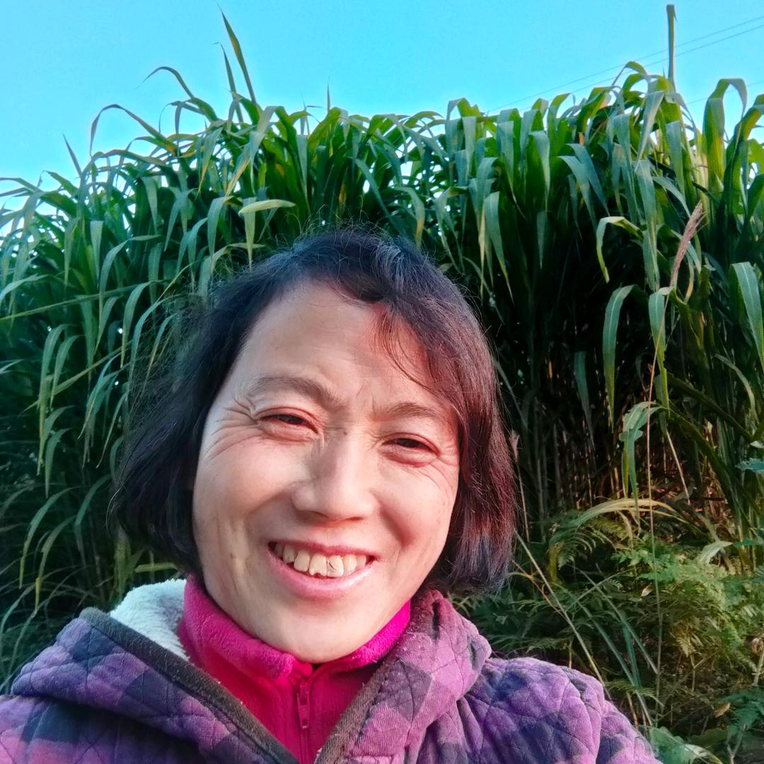 农村细妹