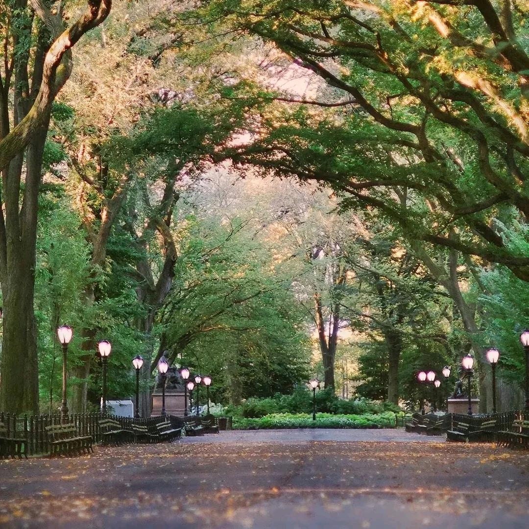 爱哭的鱼小铺子