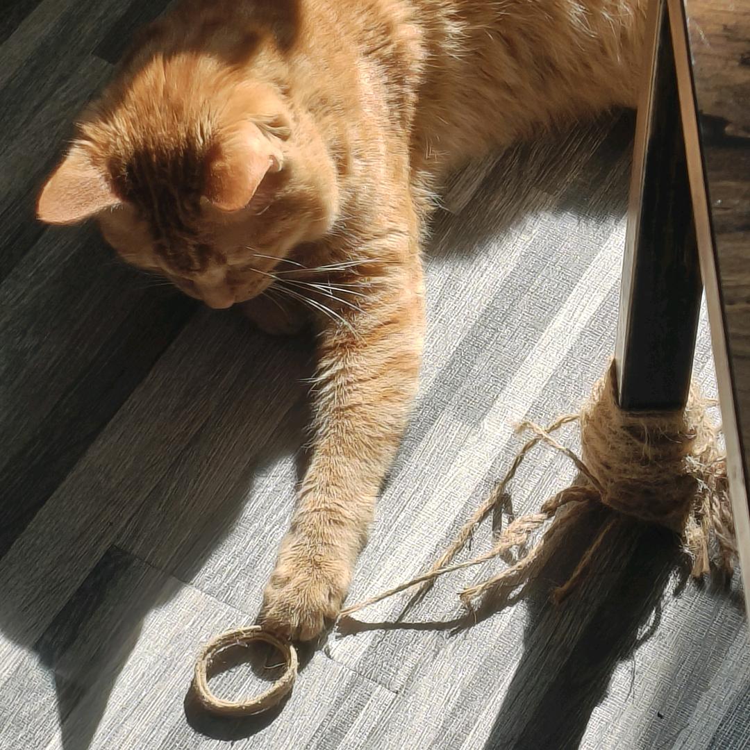 用户1116673468187316