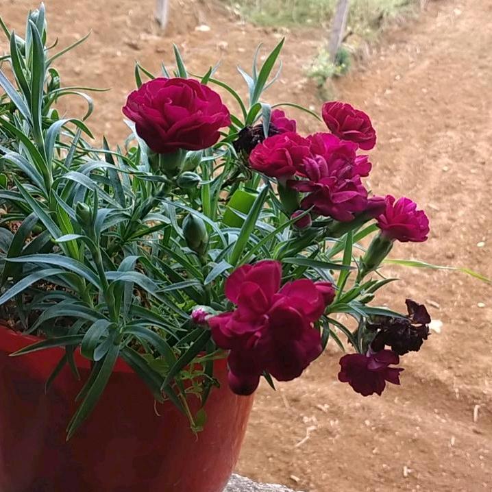 《过好每一天》70后