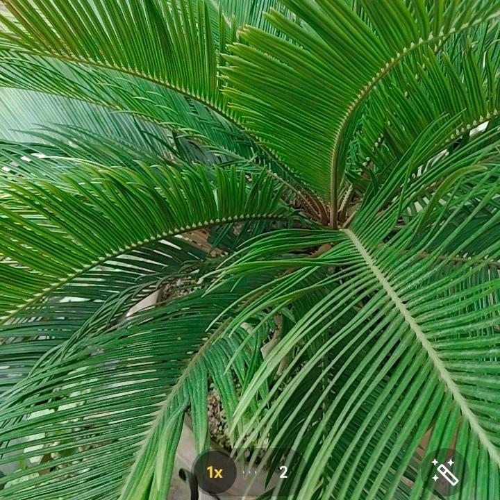 💞繁华落尽💞