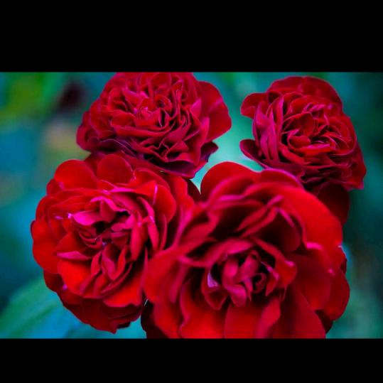 眼内有尘三界窄，心里干净天地宽