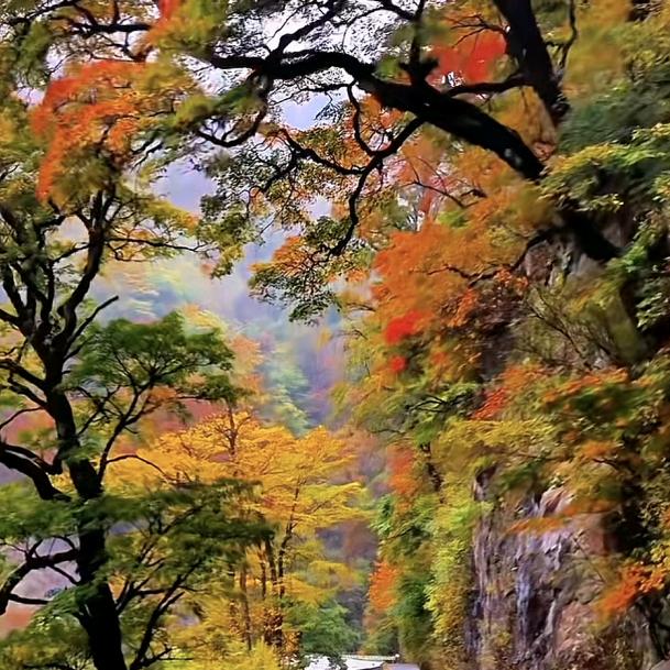 创意地毯PVC地胶