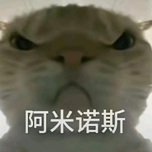 那人也跑路