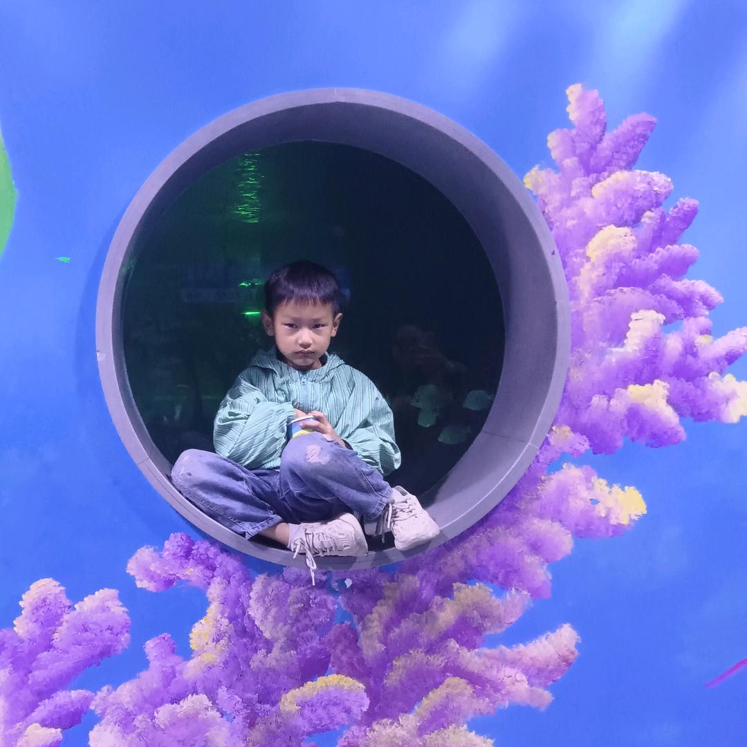 看着你天天长大