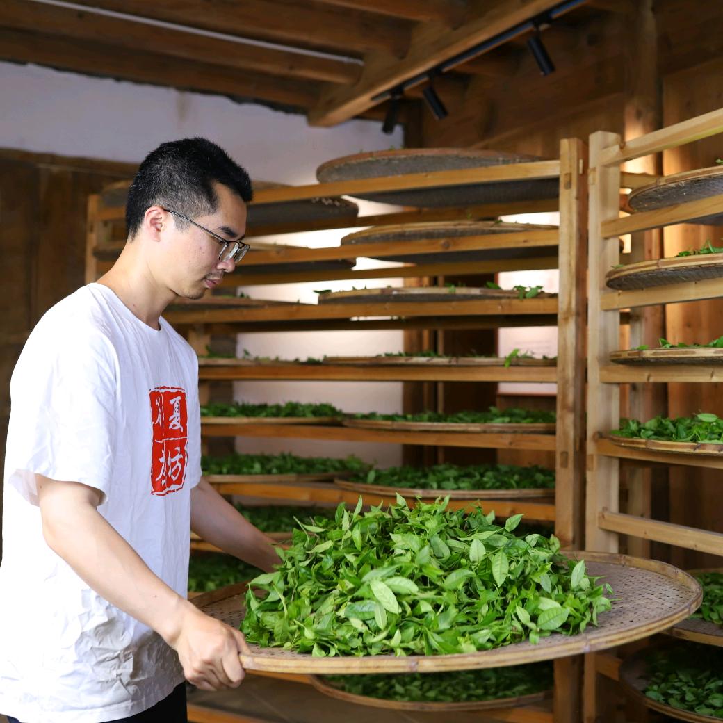 武夷山谷夏茶坊