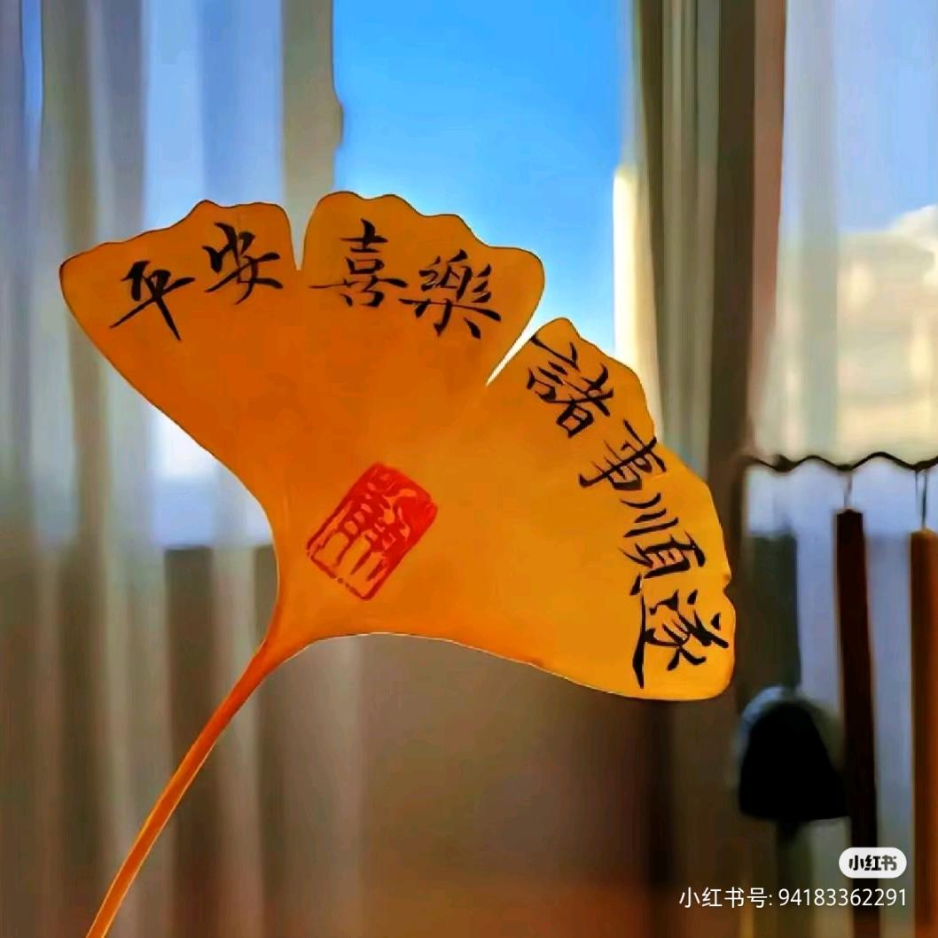 半糖☆ᴗ加冰·ᰔᩚ