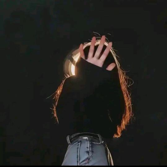 健良真功夫68号