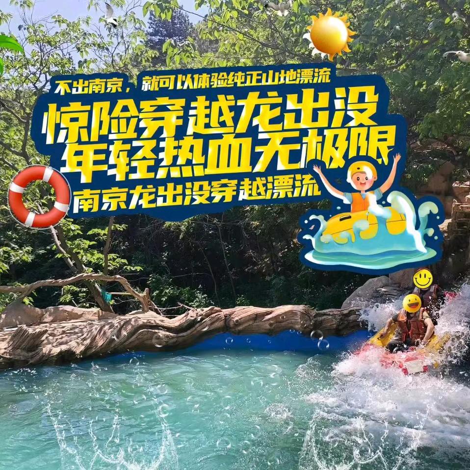 龙出没团队咨询