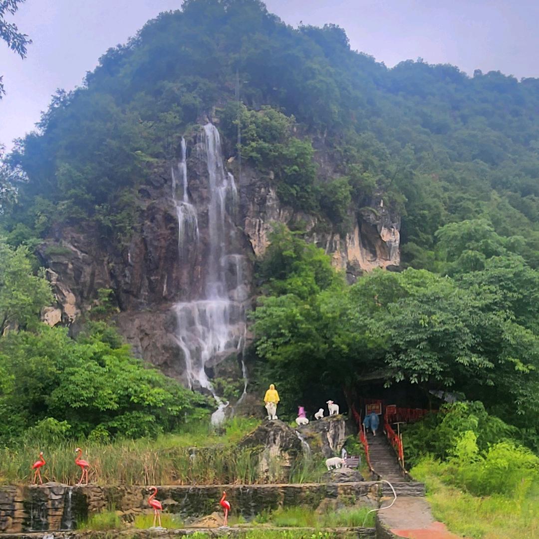 辉仔