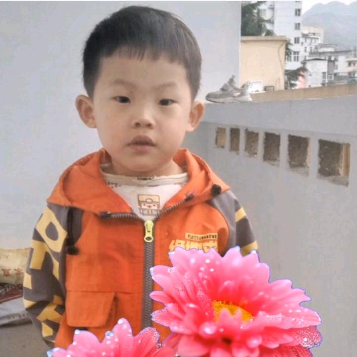 🌺百花齐放🌺头像