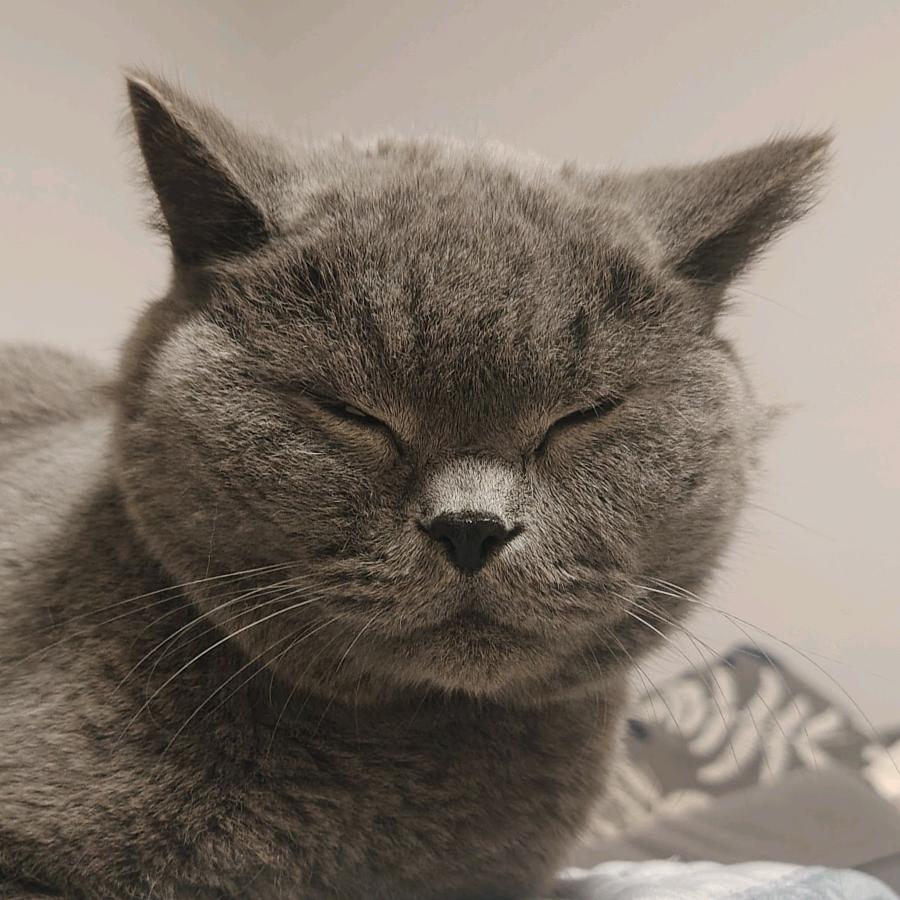 野生队长#便利店