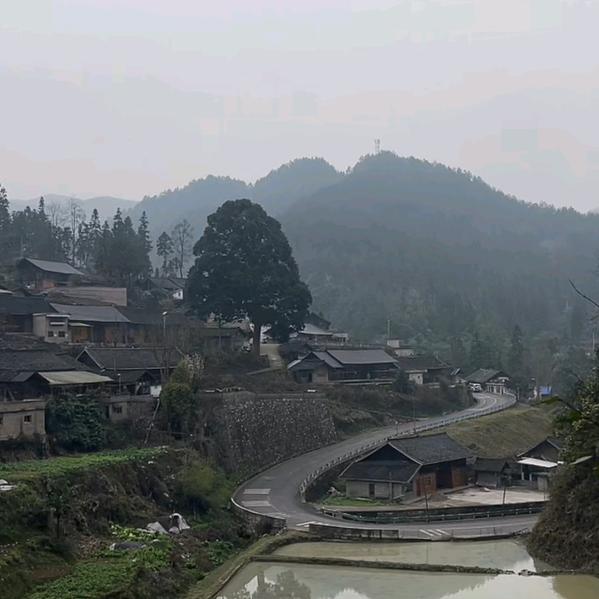 天涯浪子！
