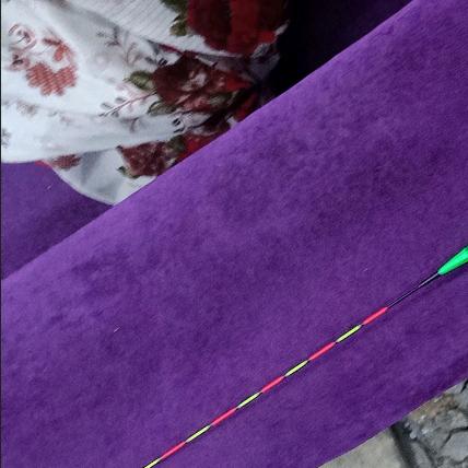 娱乐🐠乐_日记