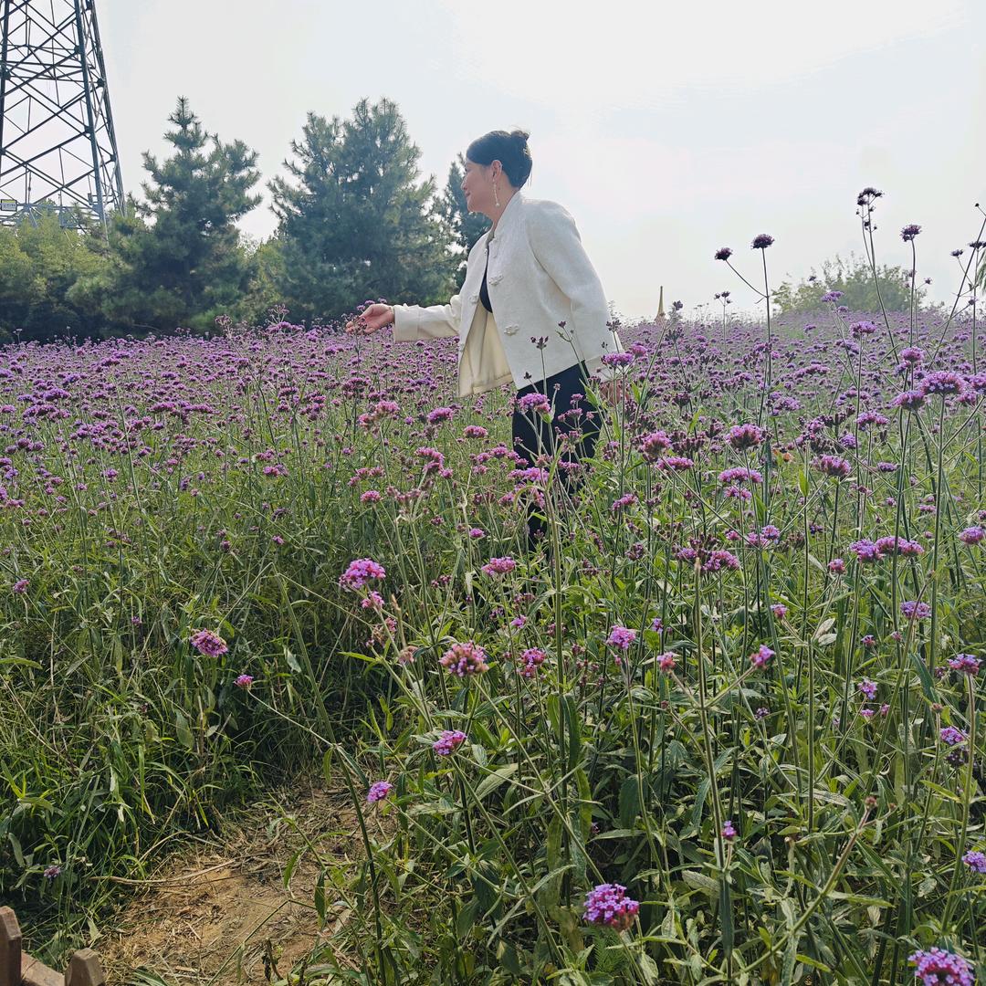 朝思慕享