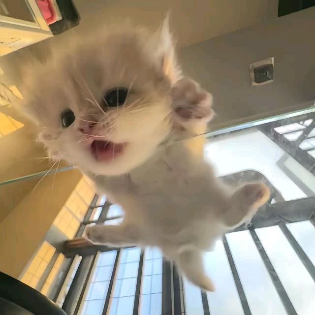 小楠.